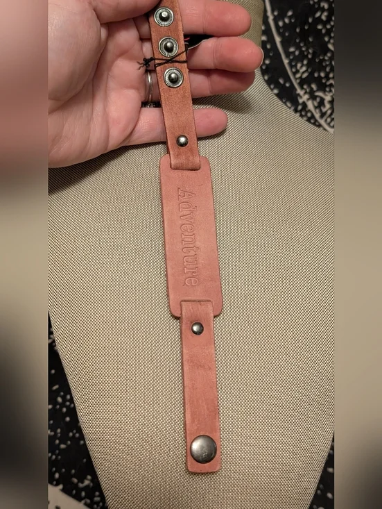 Scenic R - Picture 5 of 5